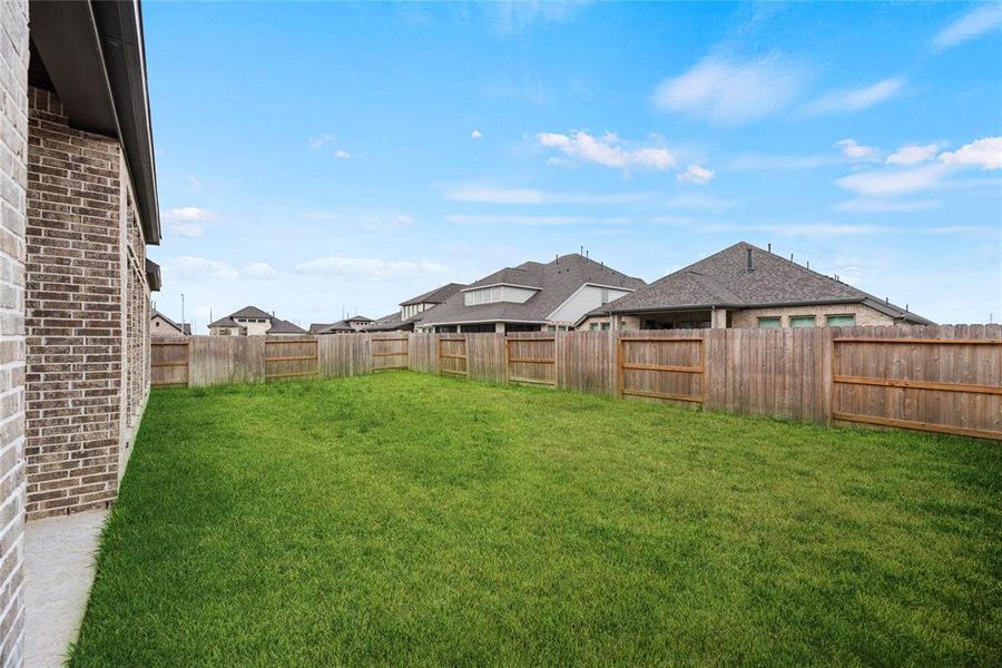 Another view of the backyard. Grass has been enhanced for photo.