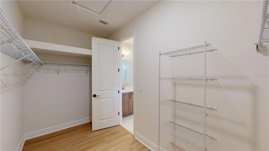 Spacious, unfurnished interior of a new home in Persimmon Park, Wesley Chapel (Image 17).