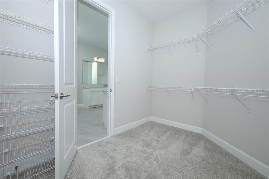 Spacious, unfurnished interior of a new home in Wolf Lake Ranch, Apopka (Image 17).