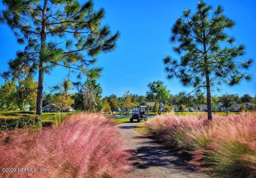 Natural landscape and outdoor views near RiverTown in St. Johns (Image 44).