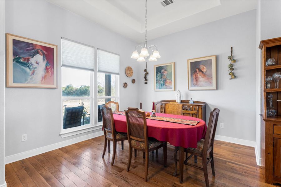 Dining space with hanging lights, hardwood / wood flooring, and a tray ceiling