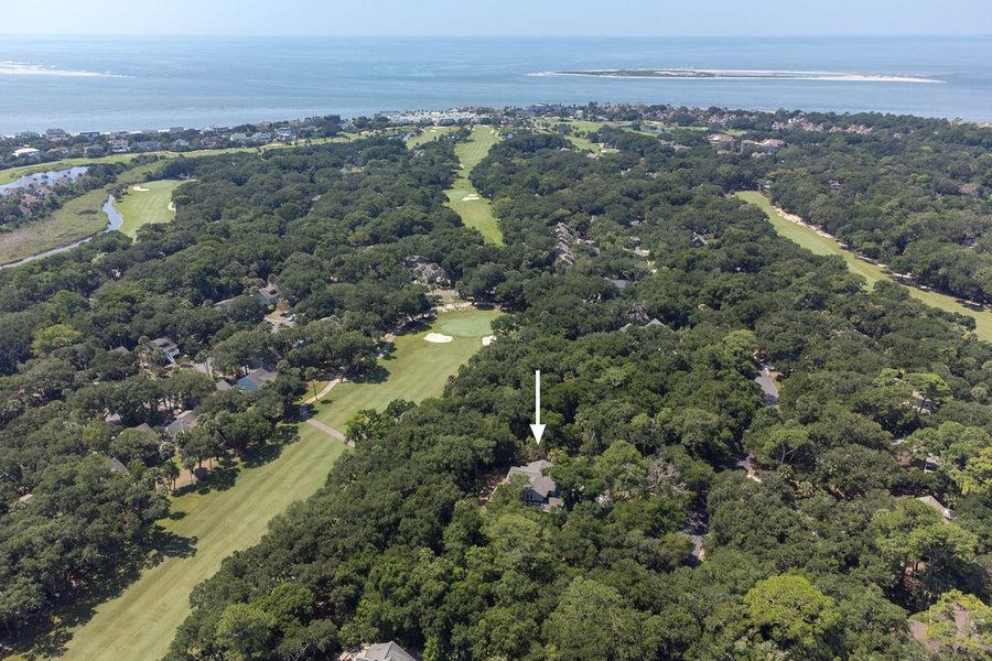 Natural landscape and outdoor views near  in Seabrook Island (Image 94).