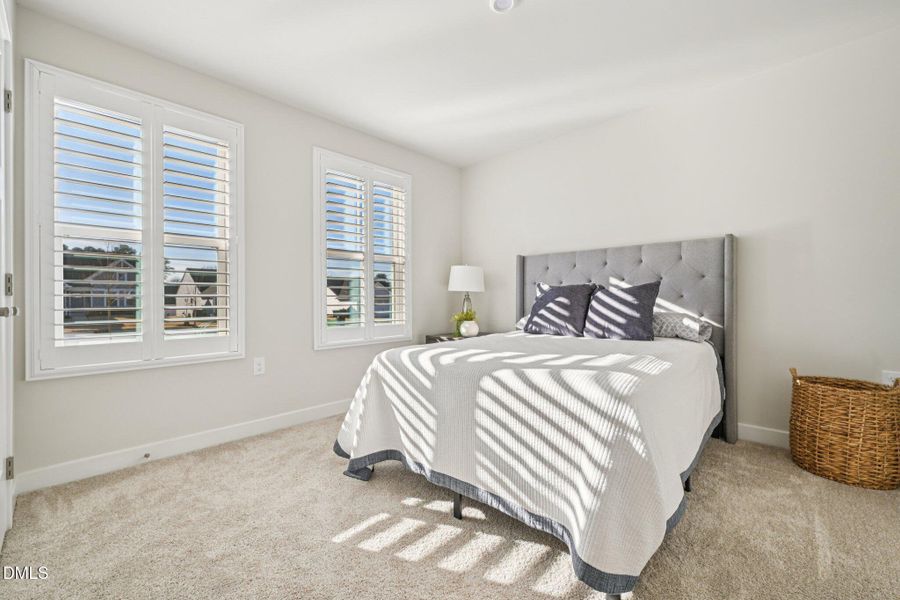 26-web-or-mls-matthiola-S1301-026