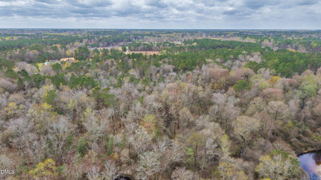 56-DJI_20260315235133_0087_D-HDR 56-DJI_20260315235133_0087_D-HDR