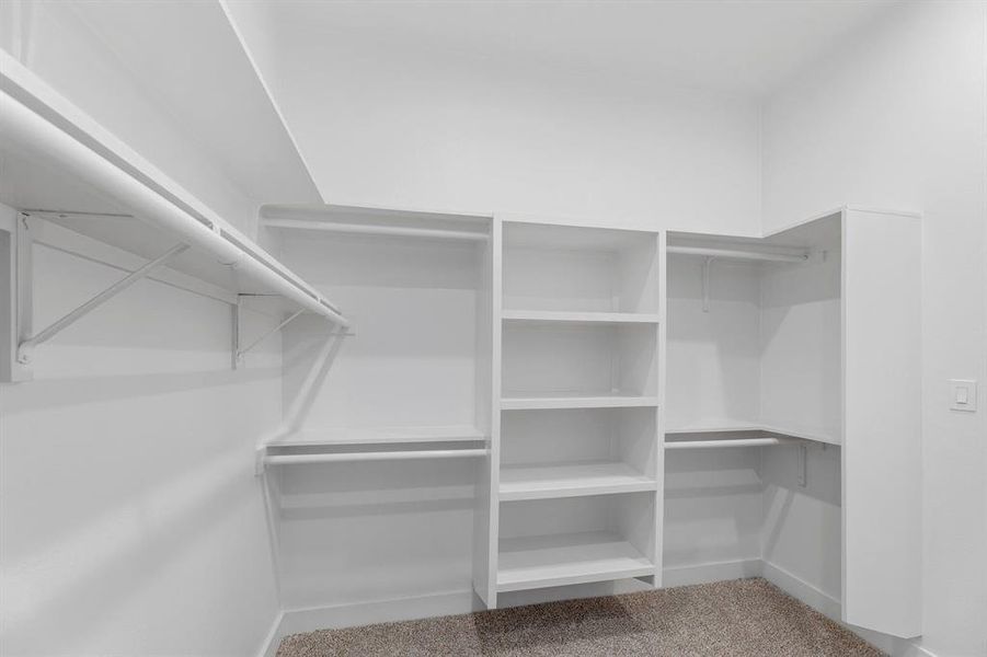 Walk in closet with carpet flooring