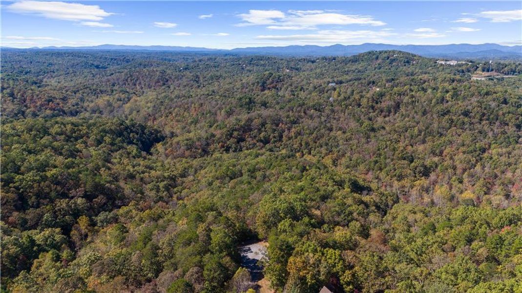 Natural landscape and outdoor views near  in Dahlonega (Image 36).