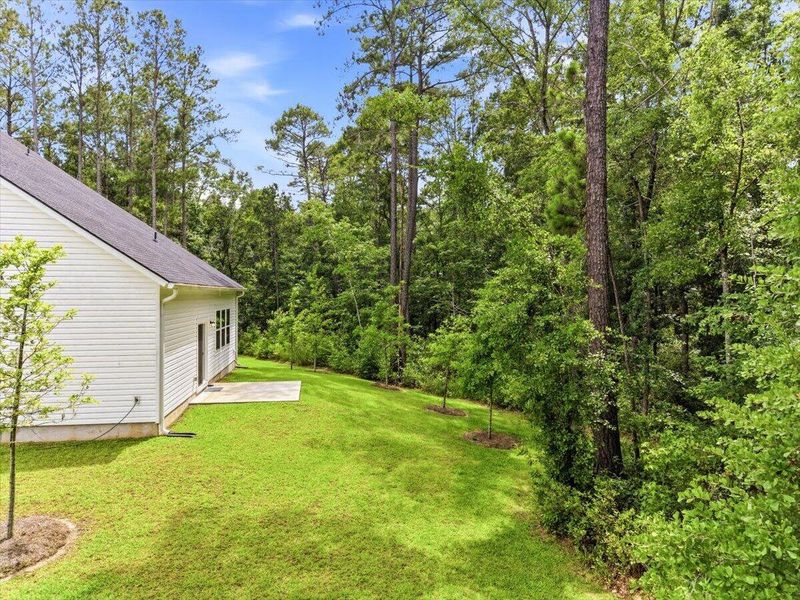 Exterior details and patio area of a home in Limehouse Village: Arbor Series, Summerville (Image 3).