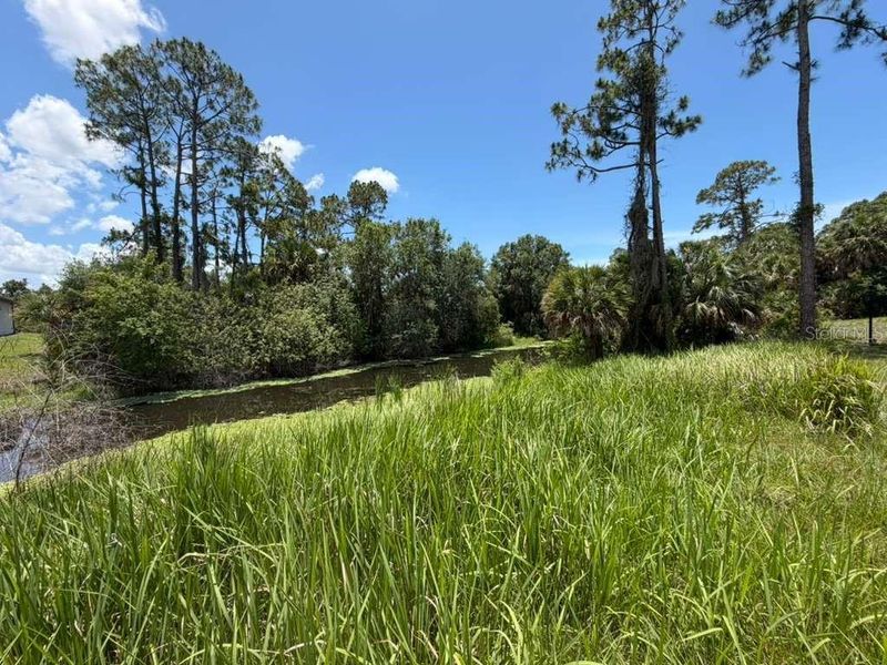 Natural landscape and outdoor views near  in North Port (Image 32).