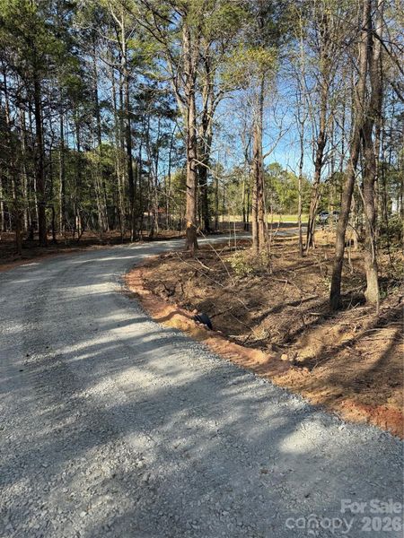 Natural landscape and outdoor views near  in Edgemoor (Image 35).