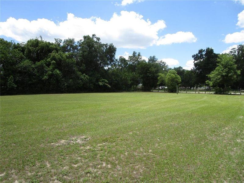 Natural landscape and outdoor views near  in Dade City (Image 33).