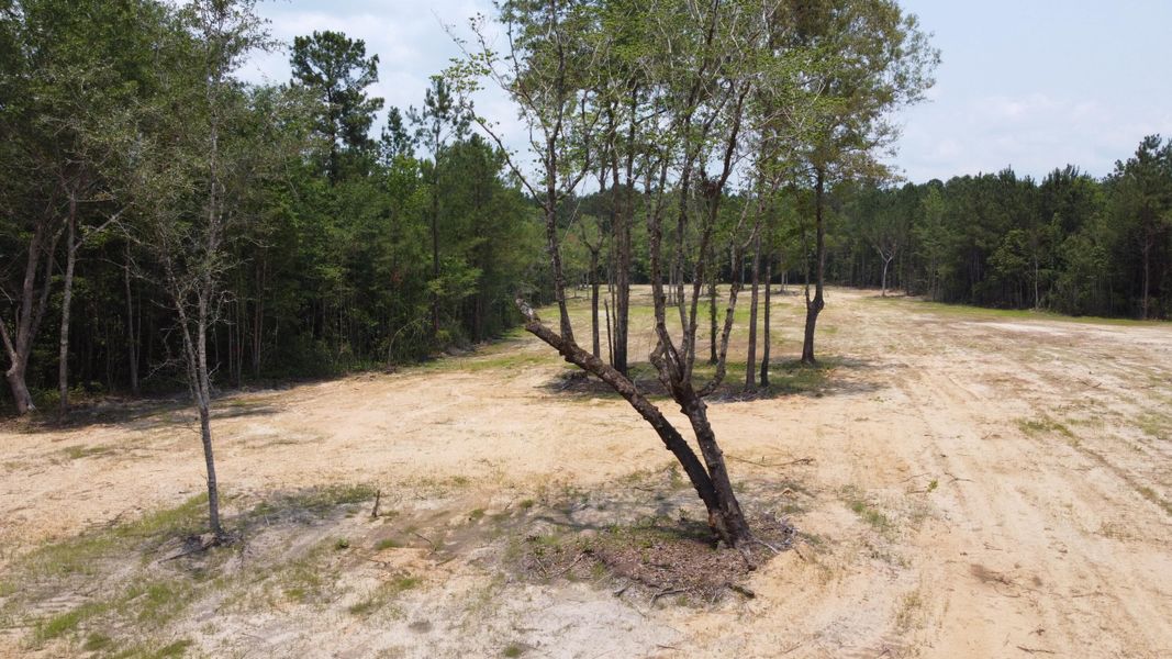 Natural landscape and outdoor views near in Huger (Image 12). Natural landscape and outdoor views near in Huger (Image 12).