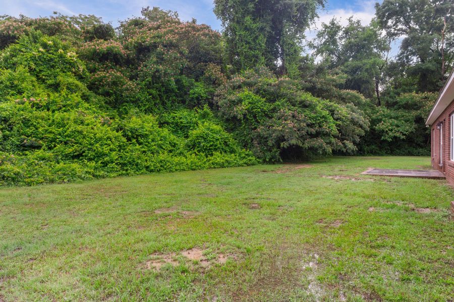 Natural landscape and outdoor views near in Orangeburg (Image 21). Natural landscape and outdoor views near in Orangeburg (Image 21).