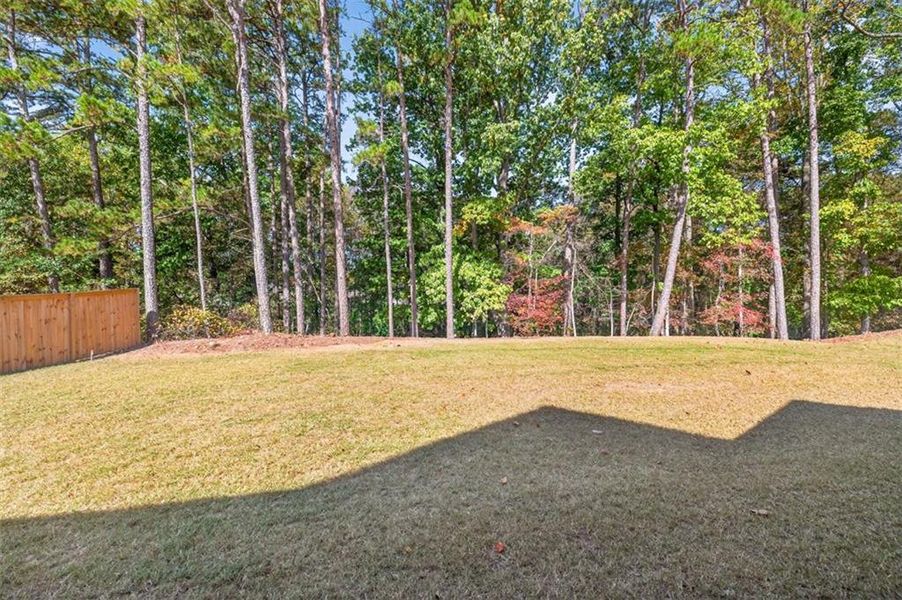 Natural landscape and outdoor views near Calgary Downs in Winder (Image 45). Natural landscape and outdoor views near Calgary Downs in Winder (Image 45).