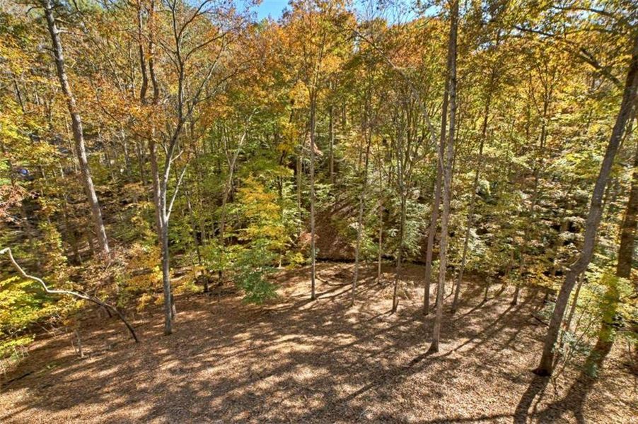 Natural landscape and outdoor views near  in Ellijay (Image 35).