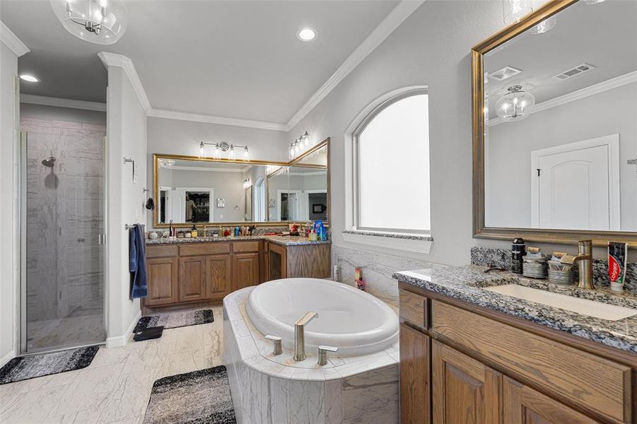 Bathroom with vanity, plus walk in shower, and ornamental molding