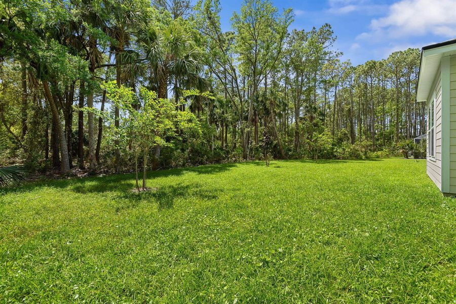 45-web-or-mls-46 Poplar-45 45-web-or-mls-46 Poplar-45