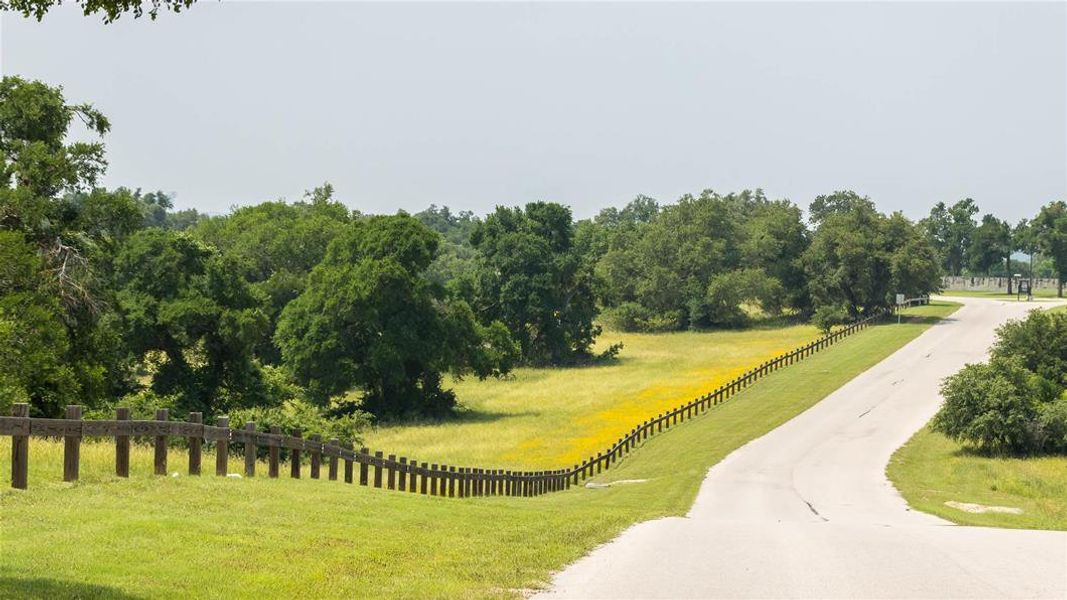 View of home's community