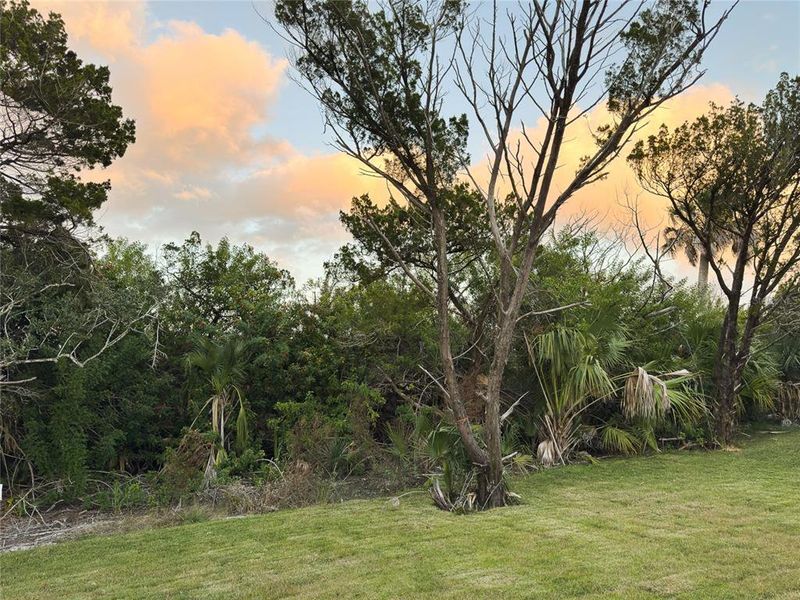 Natural landscape and outdoor views near  in Flagler Beach (Image 65).