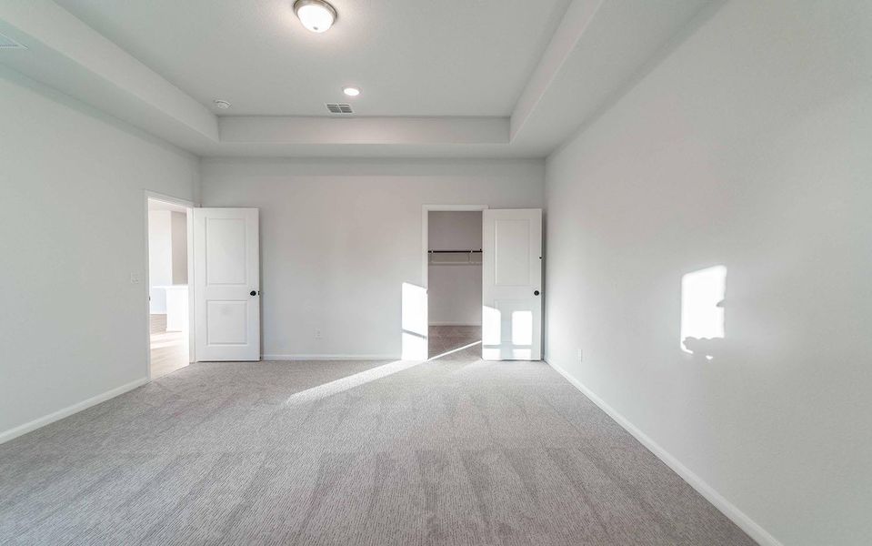 Unfurnished bedroom featuring a raised ceiling, carpet, and a closet