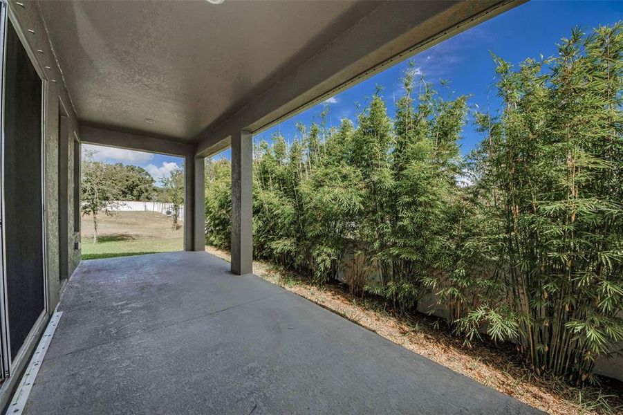 Exterior details and patio area of a home in Eagle Creek - Garden Series, Tarpon Springs (Image 21).