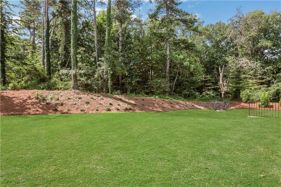 Natural landscape and outdoor views near Poppy at GreenHouse in Marietta (Image 27).