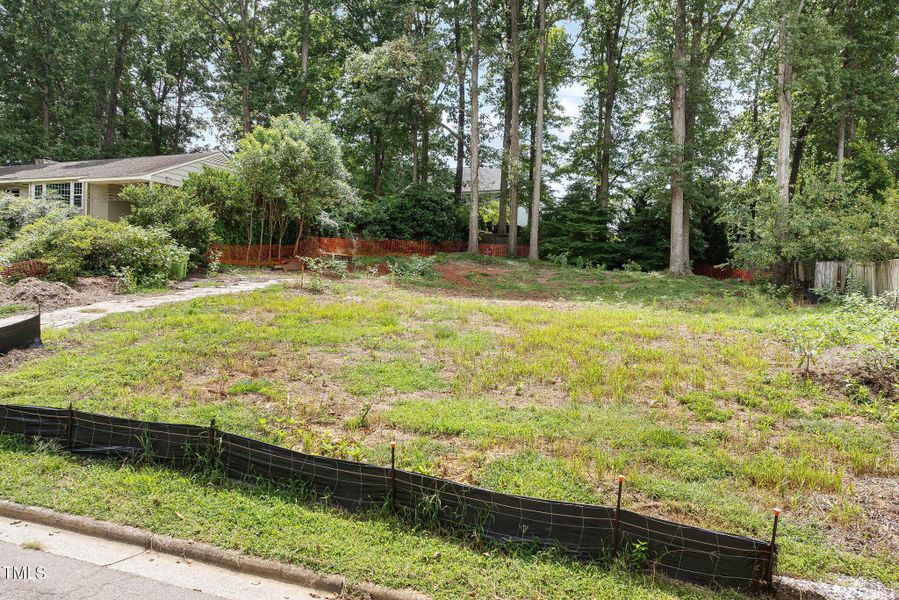 3-web-or-mls-DJI_0165