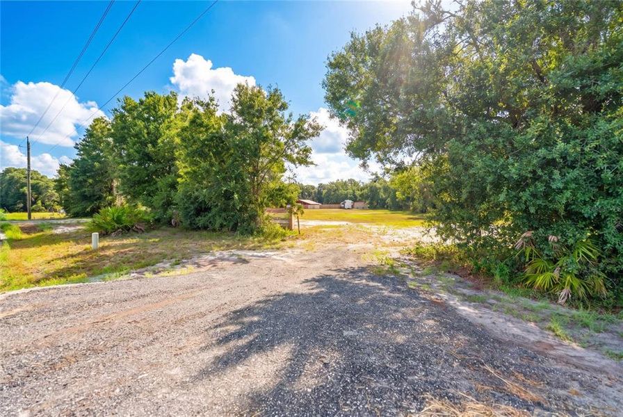 Natural landscape and outdoor views near  in Parrish (Image 15).