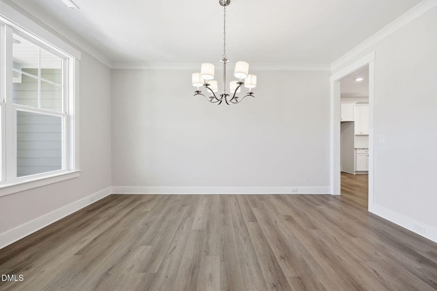 12-web-or-mls-6S8A8948 12-web-or-mls-6S8A8948
