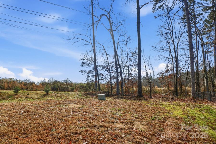 Private yard with easement Private yard with easement