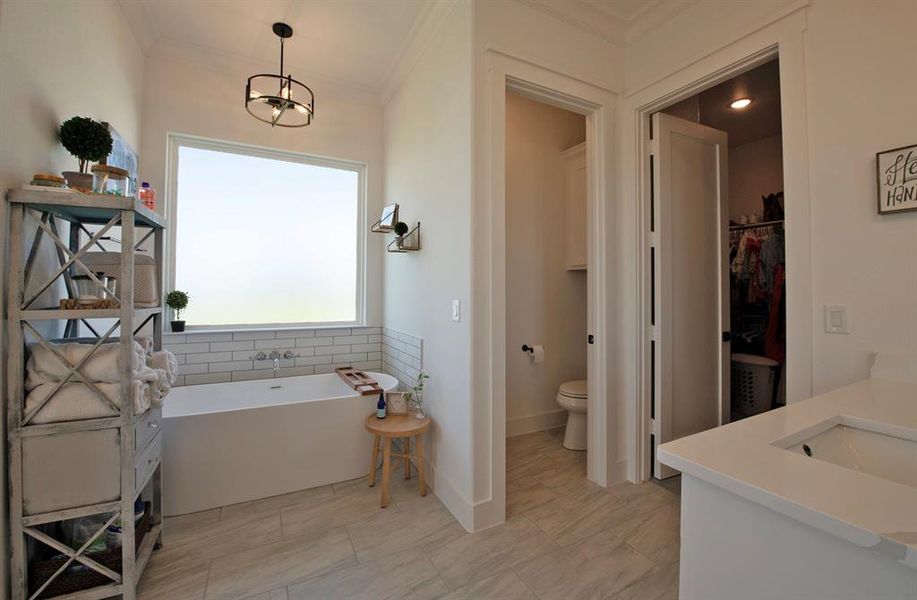 Full bathroom featuring a freestanding tub, vanity, ornamental molding, and a walk in closet