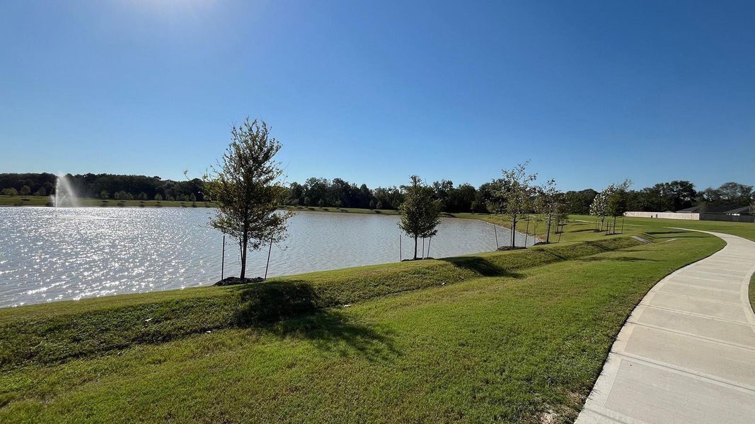 Natural landscape and outdoor views near Watermark in Alvin (Image 18). Natural landscape and outdoor views near Watermark in Alvin (Image 18).