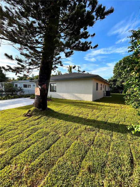 Natural landscape and outdoor views near  in Miami (Image 6).