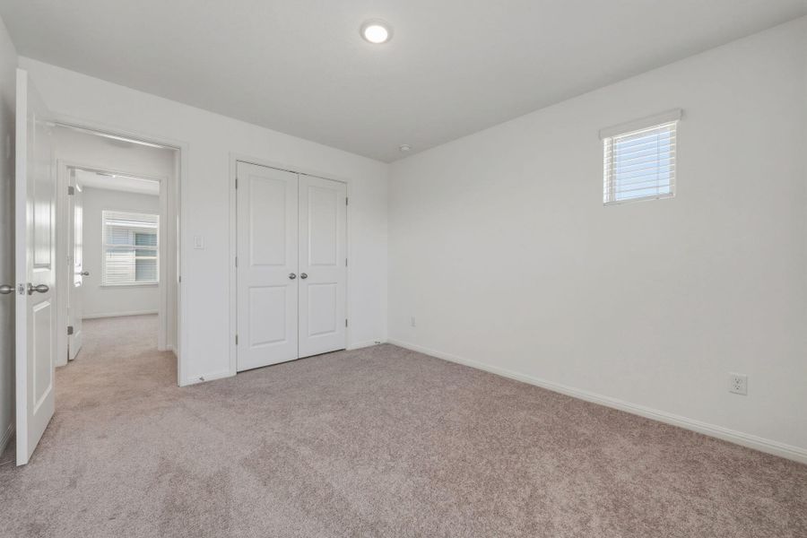 Unfurnished bedroom featuring multiple windows, light colored carpet, and a closet