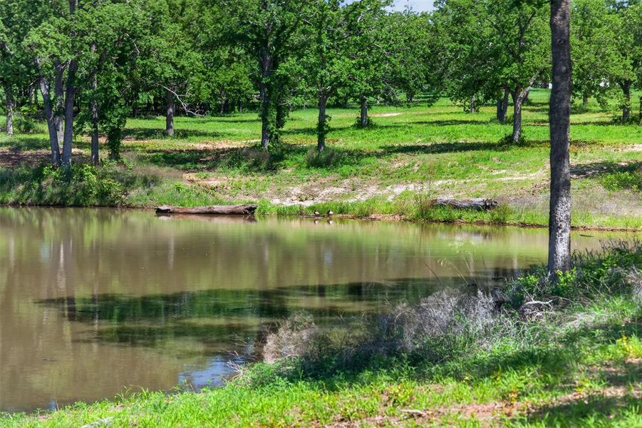Natural landscape and outdoor views near  in Alvord (Image 35).