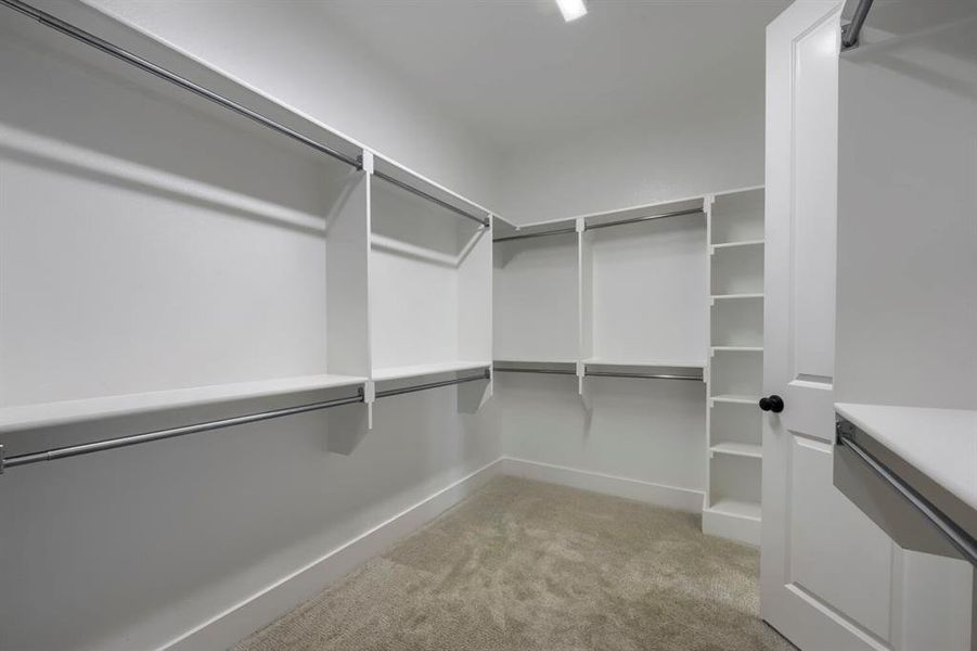 Spacious closet featuring extensive built-in shelving, multiple hanging rods, light-colored carpeting, and a white paneled door Spacious closet featuring extensive built-in shelving, multiple hanging rods, light-colored carpeting, and a white paneled door
