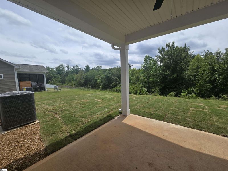 Exterior details and patio area of a home in Shiloh Trail, Wellford (Image 3).