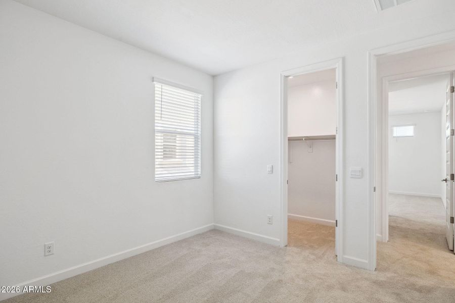 Phoenician Phoenician