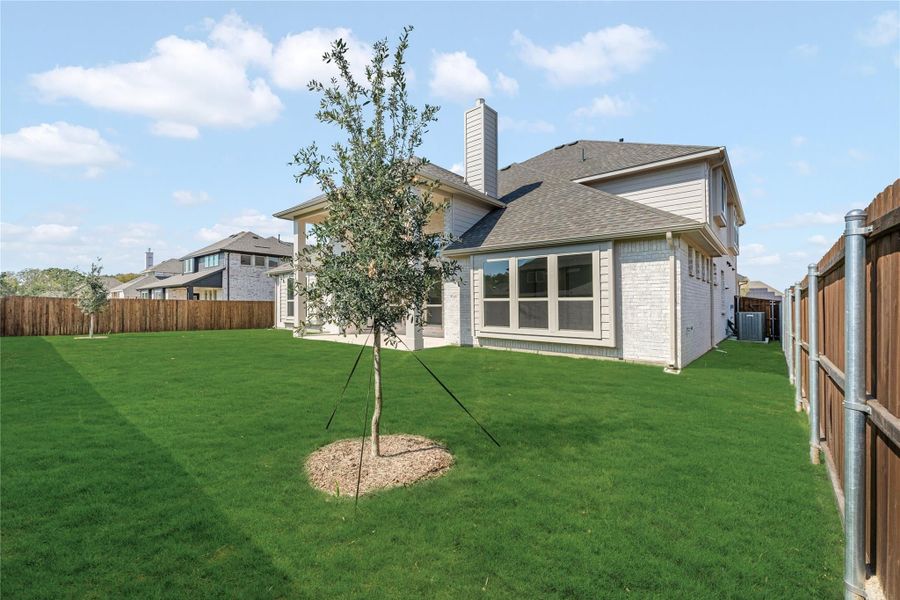 Backyard of two-story brick home with large lawn, young tree, and wood privacy fence