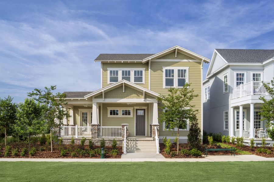 REPRESENTATION OF THE MODEL