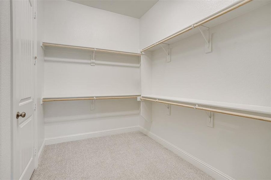 Walk in closet featuring carpet