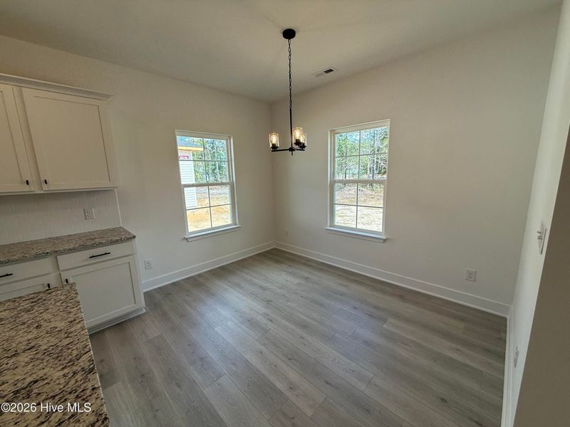 Spacious, unfurnished interior of a new home in East Lake, Leland (Image 29).