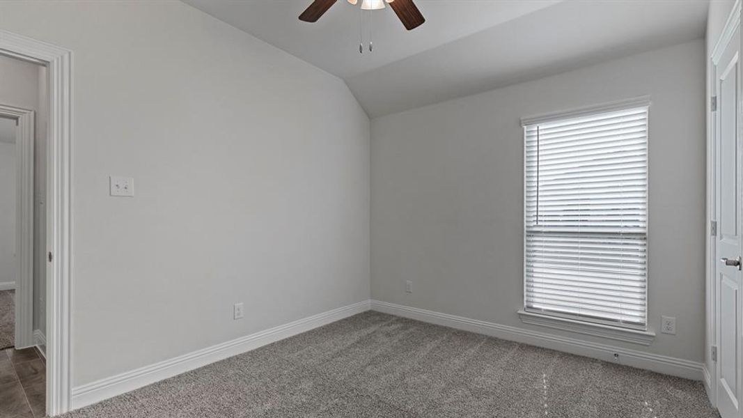 Unfurnished room featuring lofted ceiling, carpet, and a ceiling fan