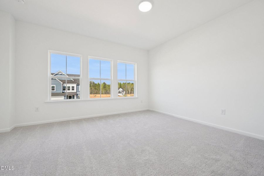 39-web-or-mls-N Stone Ml Trl-S2803-039