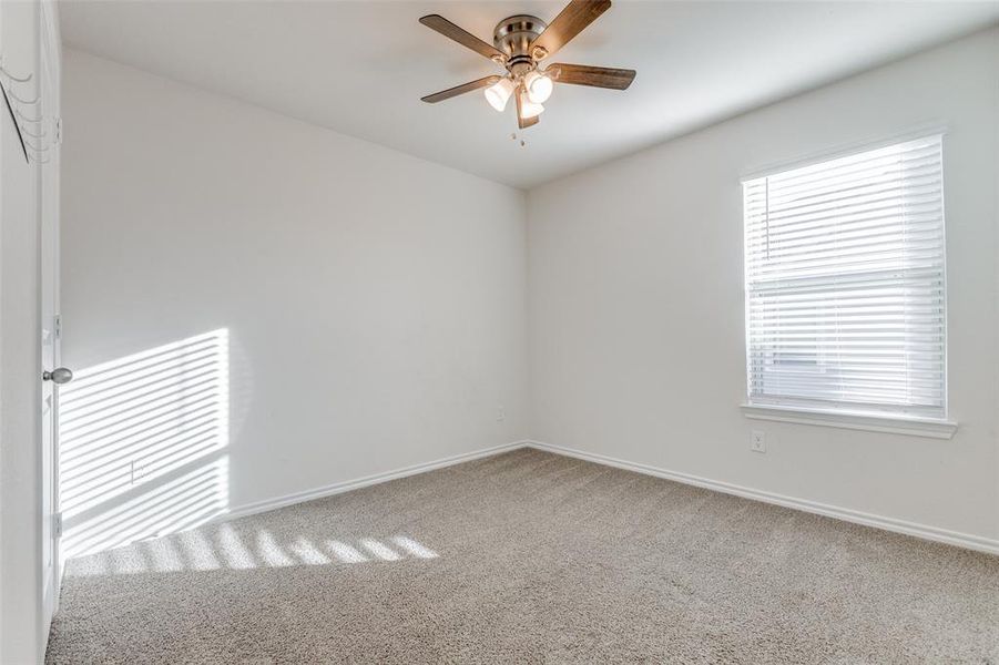 Empty room with carpet, a wealth of natural light, and ceiling fan