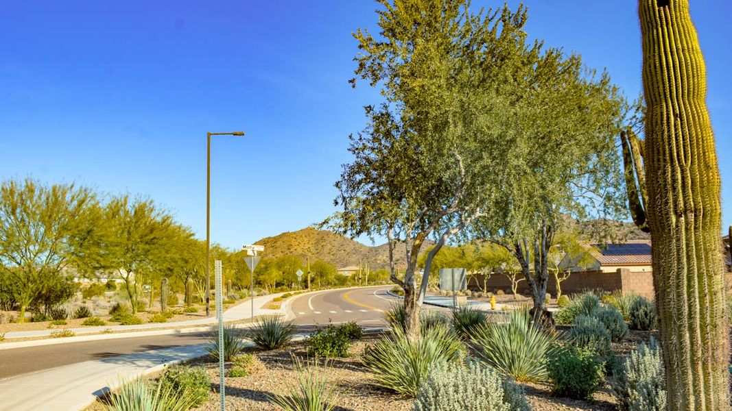 Community amenities associated with the Amherst by D.R. Horton in Aloravita, Peoria (Image 17).