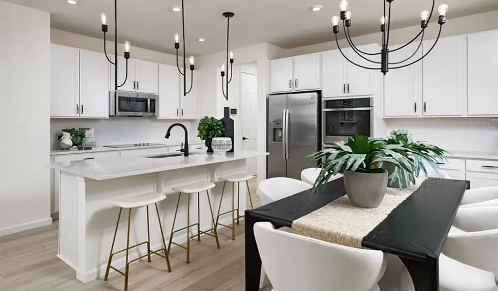 Coronado-733-WildernessShores Kitchen