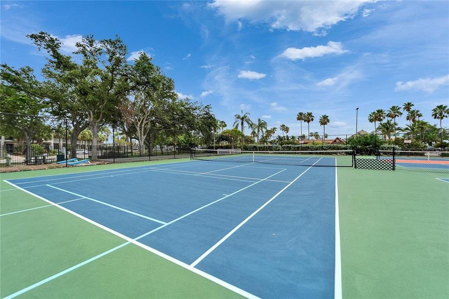 Community amenities in SouthShore Yacht Club: Somerset Preserve, Ruskin (Image 75).