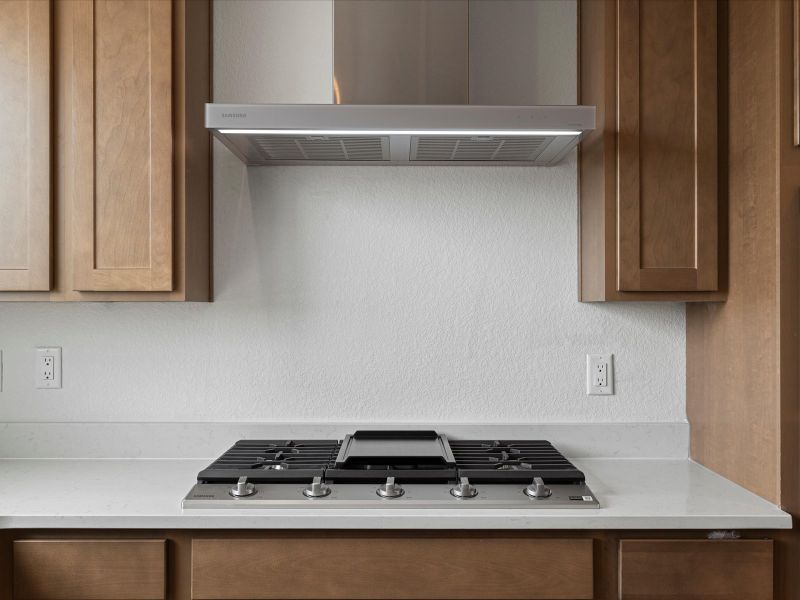 Close-up of interior finishes inside a home in Ascent at Inverness, Englewood (Image 13).