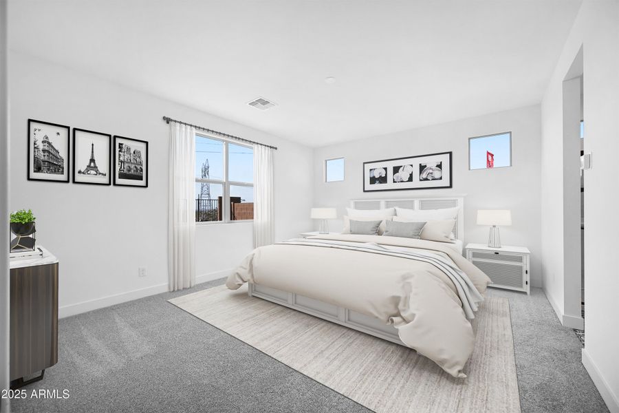 PRIMARY SUITE_Final (1)