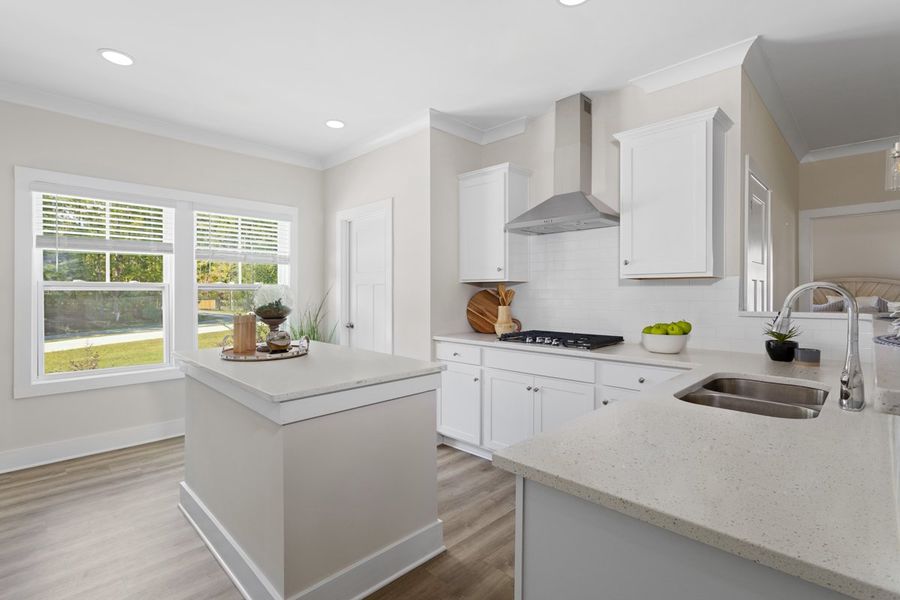 Furnished interior view inside a new home in Portrait Hills, Aiken (Image 5).